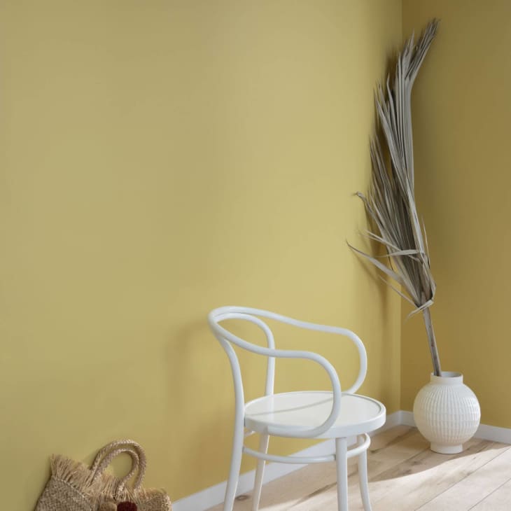 Beige yellow paint with white chair and large palm frond