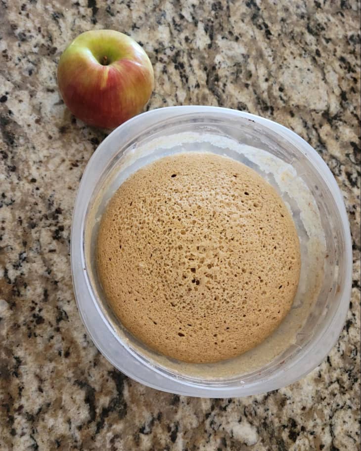 Overhead view of apple "cake bake" microwave cake