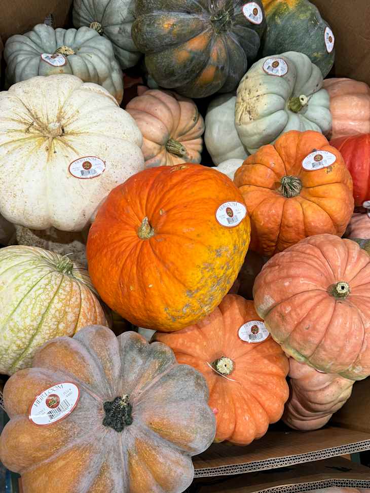 The $7 Costco Fall Essential I Buy Once a Year Every October | The Kitchn