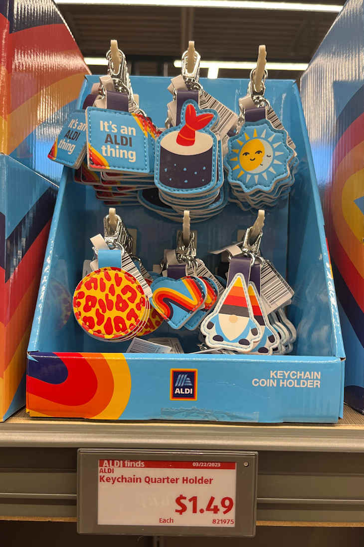 An Insider’s Guide to the Famous Aldi Quarter Holder The Kitchn