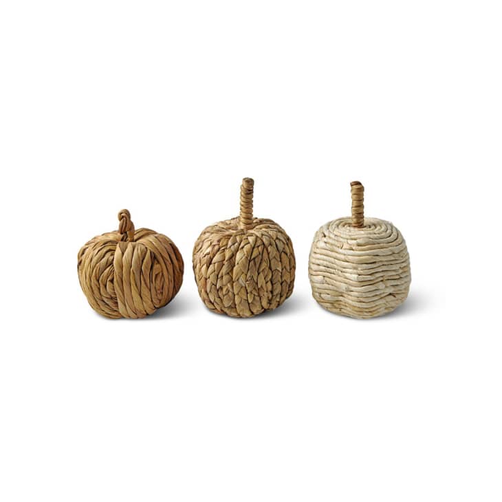 Huntington Home Woven Pumpkins