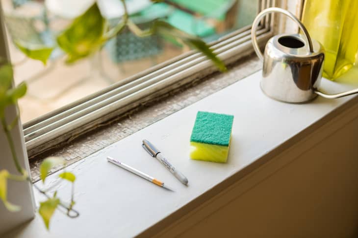 Sponge, X-Acto knife, and Sharpie on a windowsill