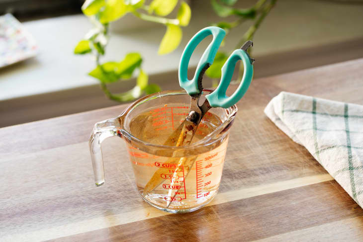 Rusty scissors in water filled measuring cup