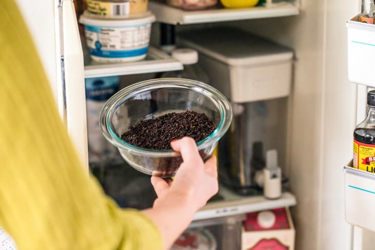 Someone placing a bowl of spent coffee grounds into a refrigerator.