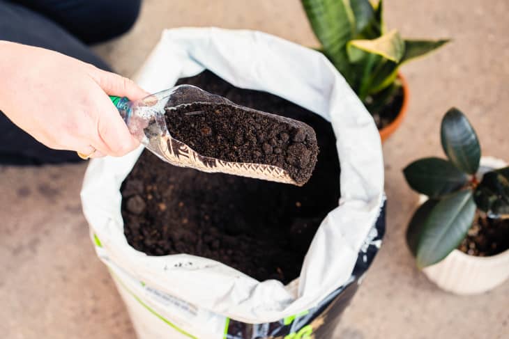 Someone using repurposed water bottle to scoop potting soil.