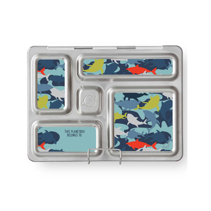 Rover Stainless Steel Lunch Box at PlanetBox