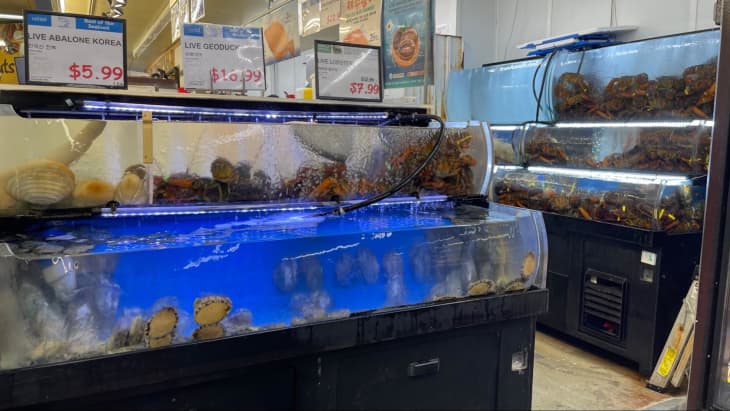 seafood tanks with lobster, abalone, geoduck at HMart