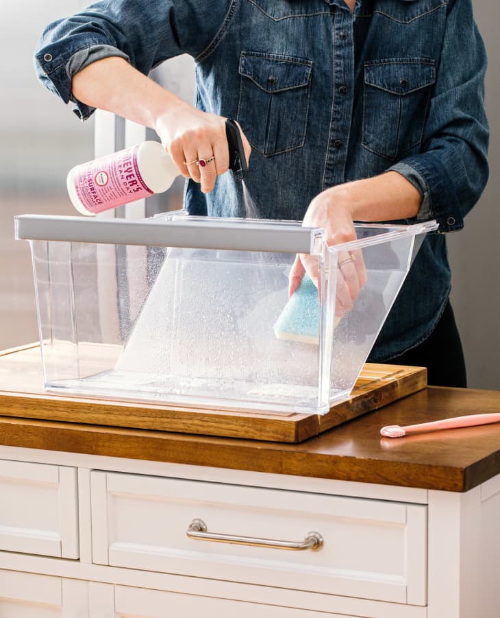 Fridge and freezer cleaner. Clean fridge. Freezer cleaning - Conservatis