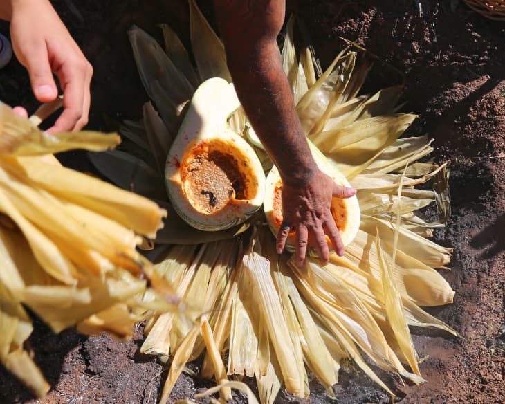 Roasted squash being placed in corn husks to be cooked in the earth.