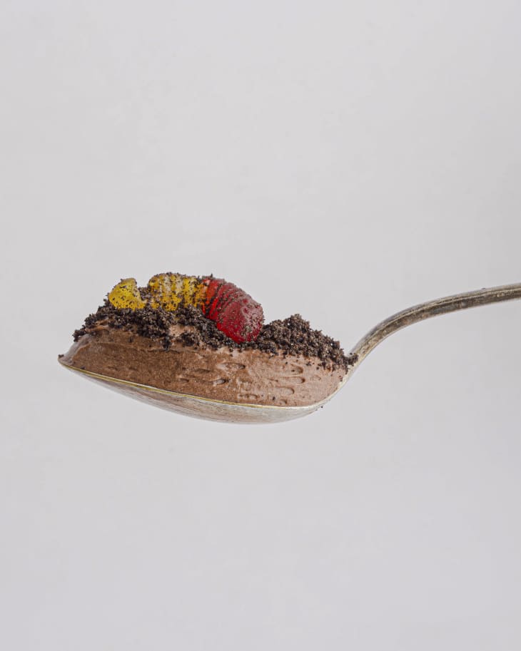 A scoop of Dirt pudding (also known as Oreo Dirt Cake or just Dirt and Worms, is an American dessert made of crushed Oreo cookies layered with chocolate pudding that's been blended with cream cheese and whipped cream) on a spoon