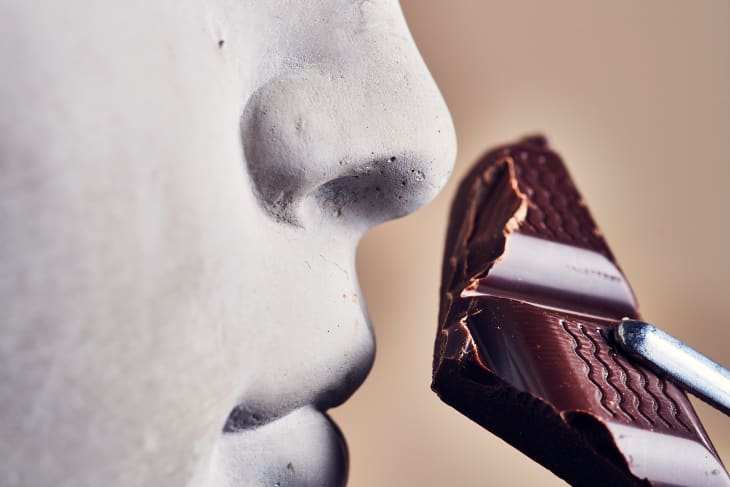 chocolate being held to a busts nose