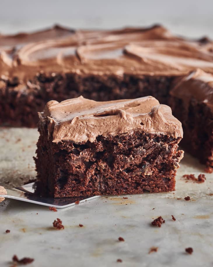 Chocolate zucchini cake on spatula.