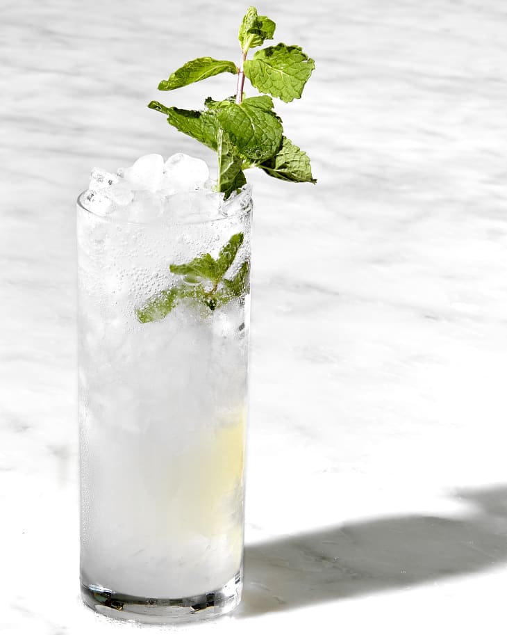 head on shot of a single mojito in a high ball glass, garnished with mint.