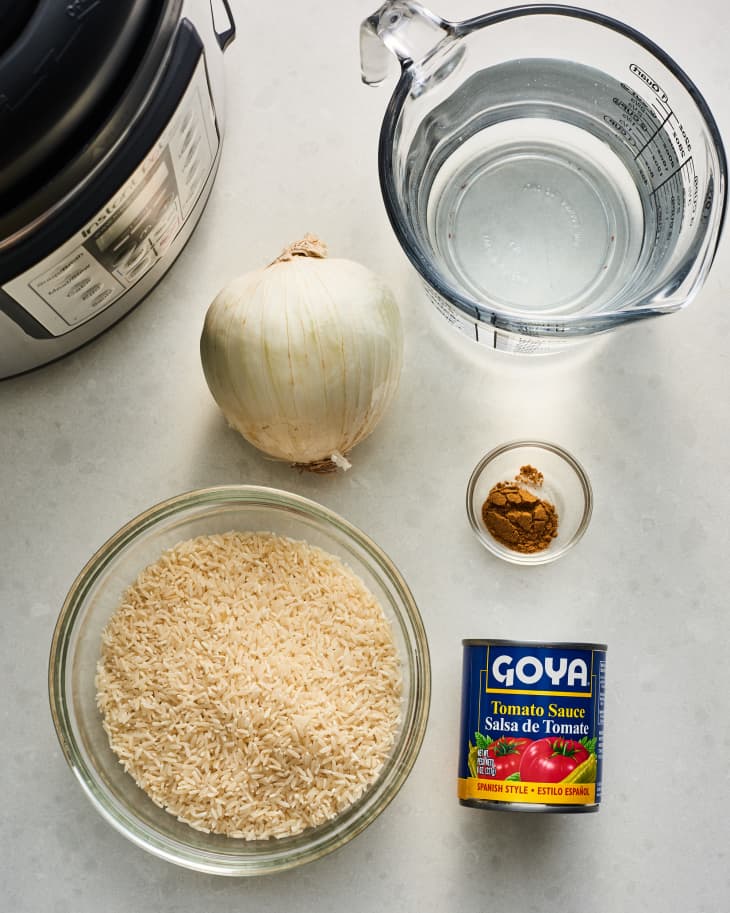 15 Minute Instant Pot Mexican Rice » Foodies Terminal