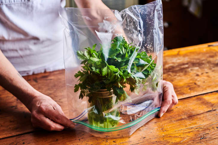 parsley in a mason jar filled with a few inches of water, covering with a ziploc bag