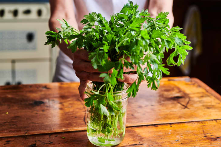 parsley in a mason jar filled with a few inches of water
