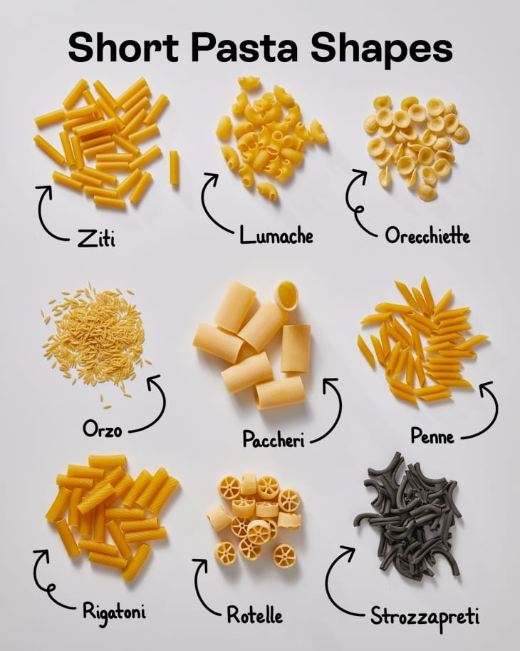 Short Pasta Shapes: Ziti, Lumache, Orecchiette, Orzo, Paccheri, Penne, Rigatoni, Rotelle, Strozzapreti