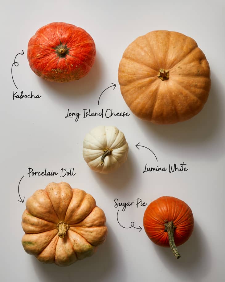An overhead photo of five different types of pumpkins labeled by name.