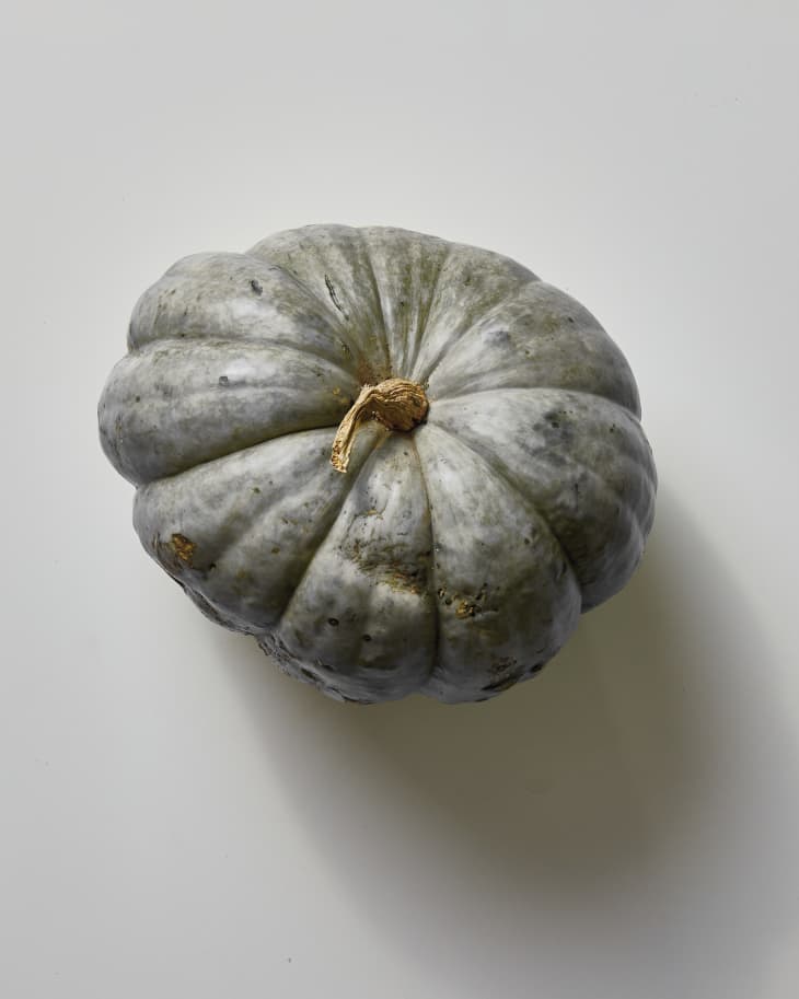 A photo of a harvest moon pumpkin on a grey surface.