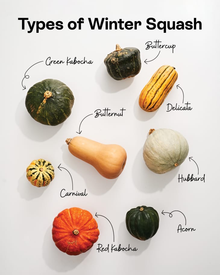Different types of winter squash arranged and labeled on a white surface.