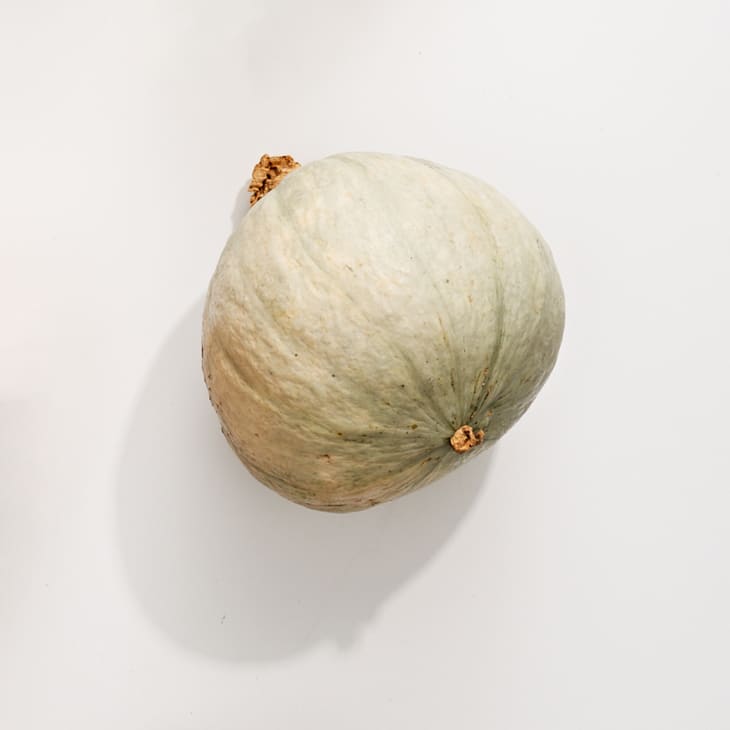 Hubbard squash on a white surface.