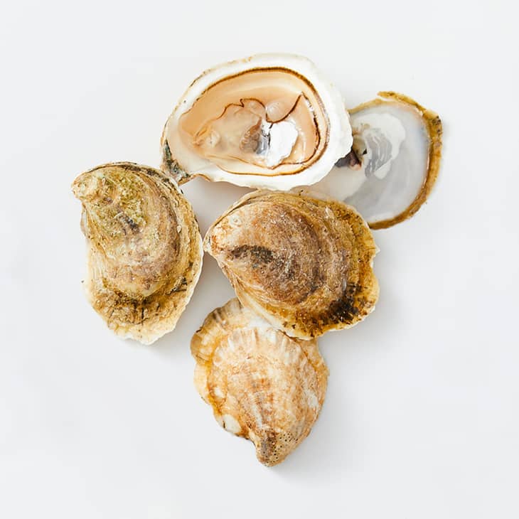 Oysters on a white surface