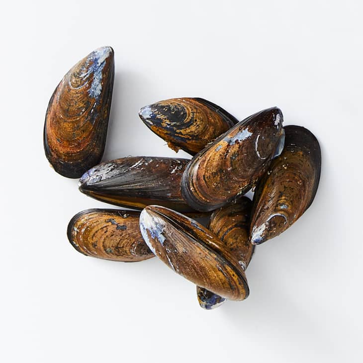 mussels on a white surface