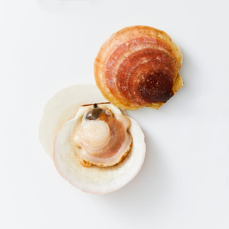 Scallops on a white surface