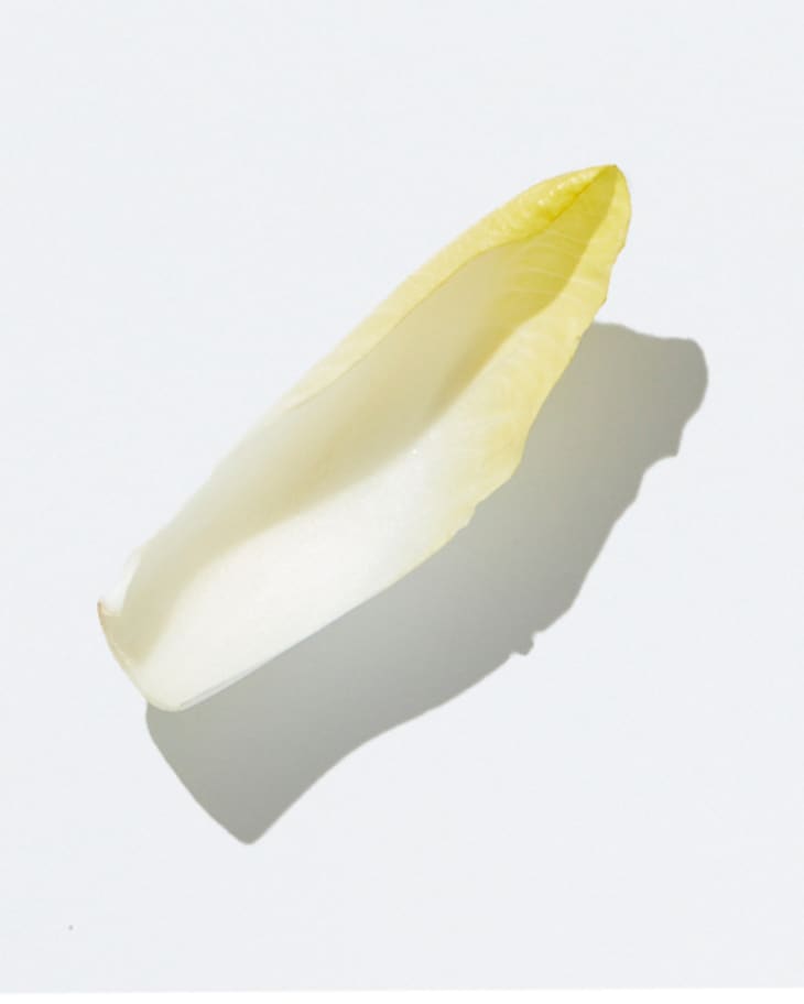 lettuce leaf on a white background