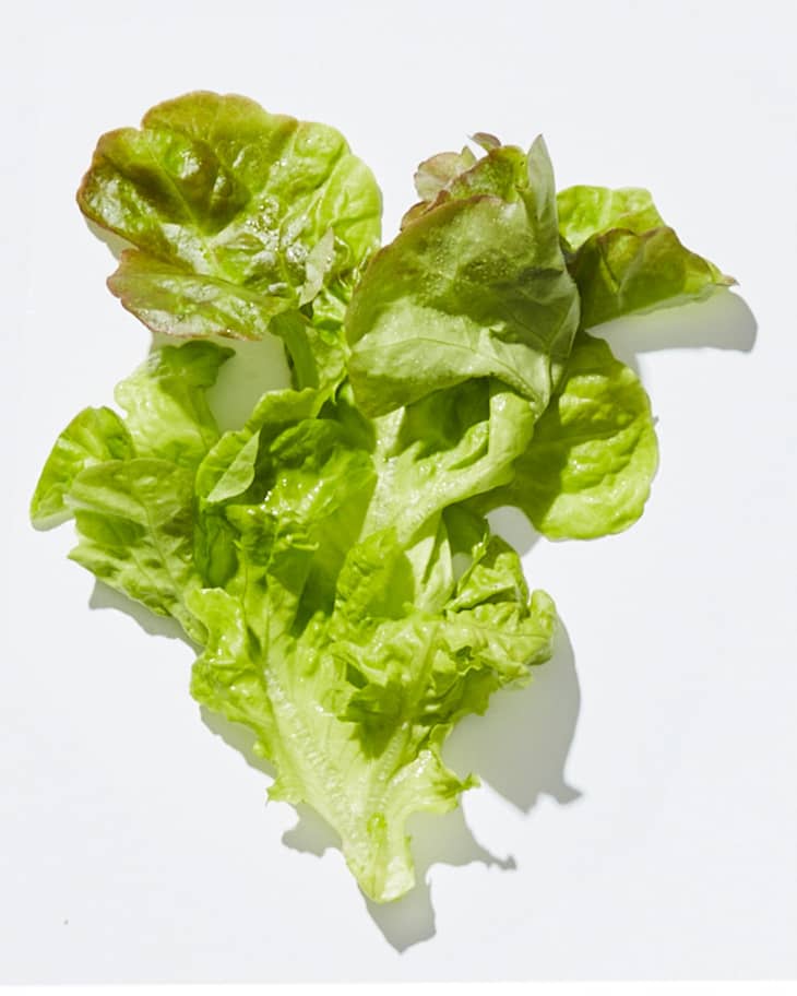 lettuce leaf on a white background