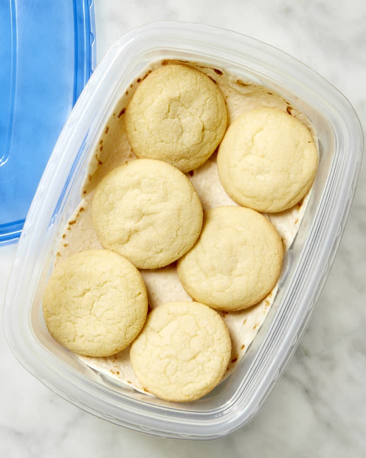 Overhead shot of sugar cookies in a plastic tupperware container, with a flour tortilla at the bottom.