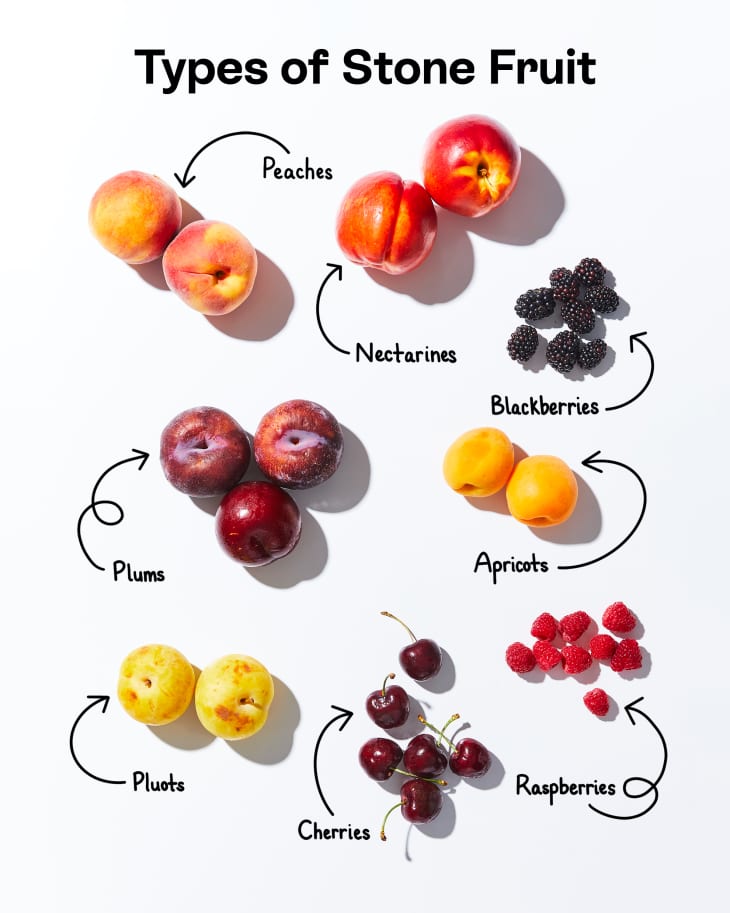 Types of stone fruit labeled on a white surface.