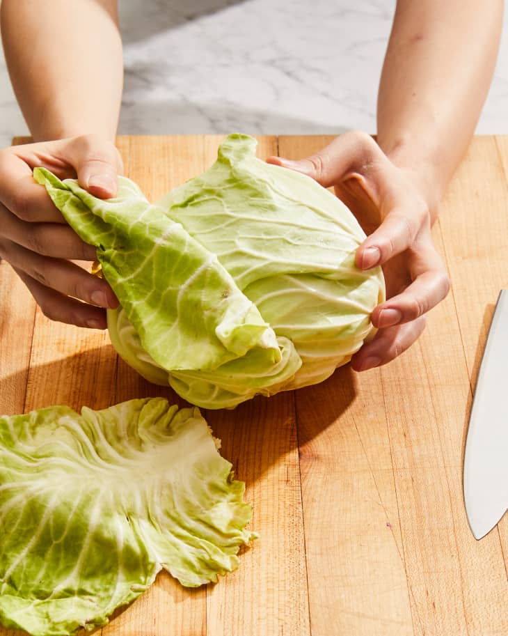 Depiction of the instructions in How to Cut and Shred Cabbage with a Knife step 1