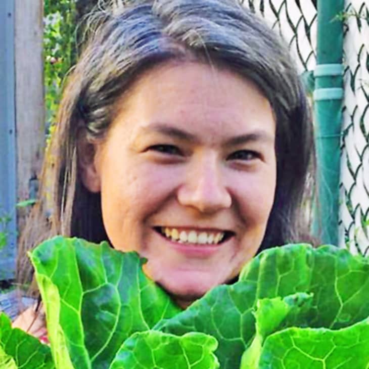 cheese french heard never ve sascha anderson credit