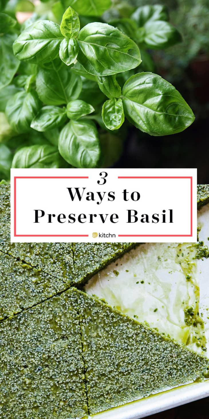 3 Tips For Preserving Fresh Basil All Year Long Kitchn