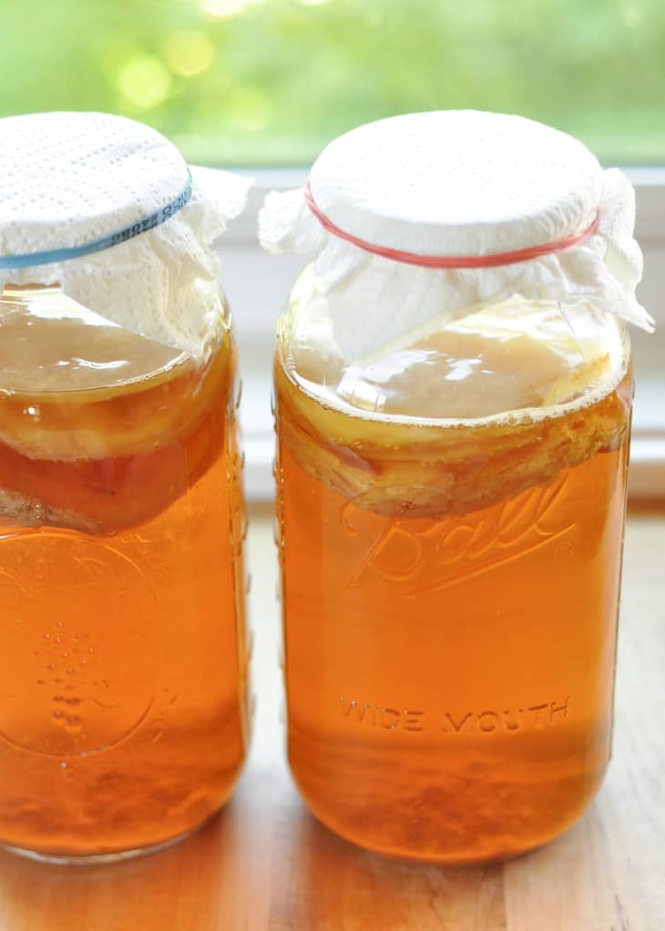 A scoby is brewing in jars of kombucha, covered with a paper tower and a rubber band around it