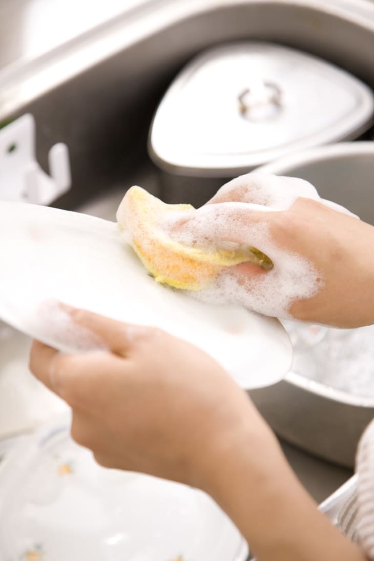 how long should you use a kitchen sponge