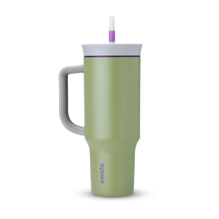 https://cdn.apartmenttherapy.info/image/upload/f_auto,q_auto:eco,w_730/k%2Fshopping%2F2023-09%2Fstanley-tumblers%2Frei-owala-tumbler