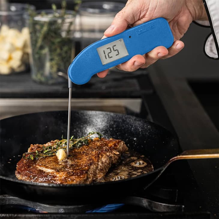 Thermoworks Thermapen One Meat Thermometer
