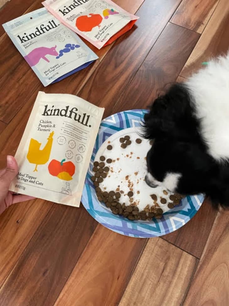 Target Kindfull Pet Food Review Kitchn