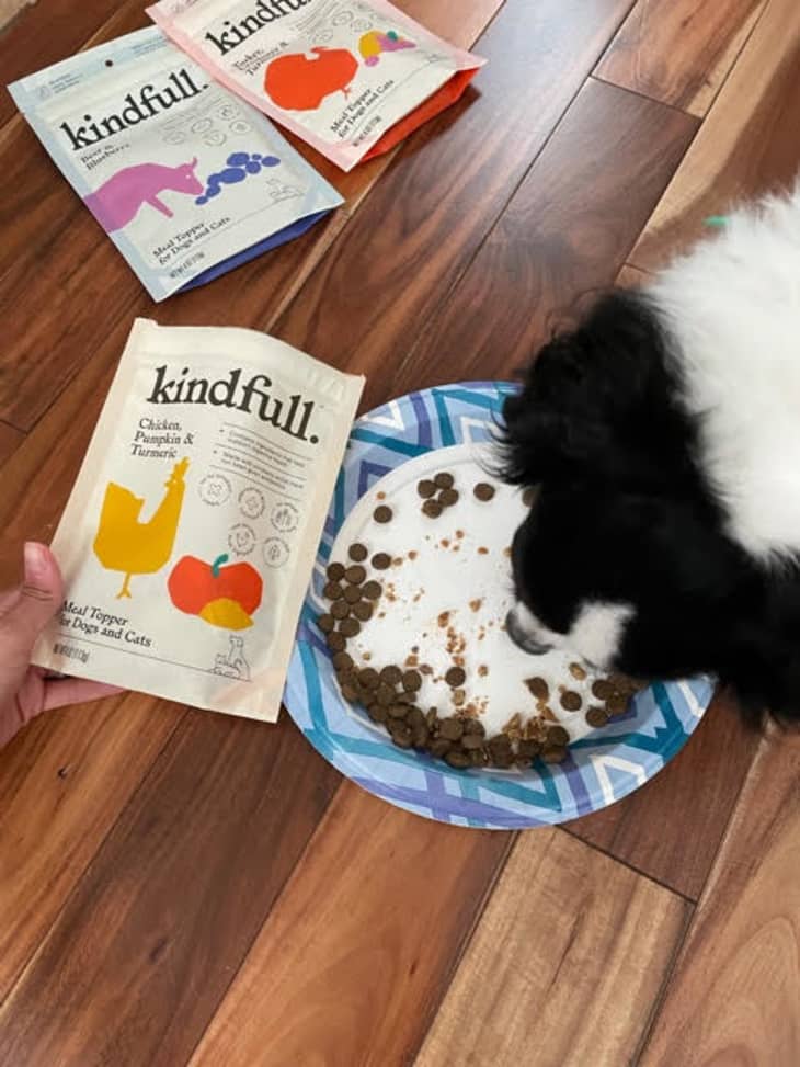 Target Kindfull Pet Food Review The Kitchn