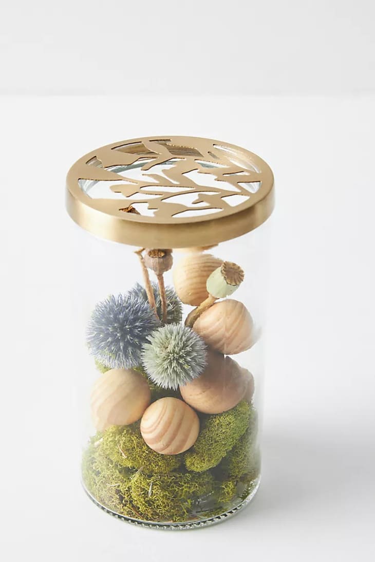 Anthropologie Candle Sale March 2020 The Kitchn