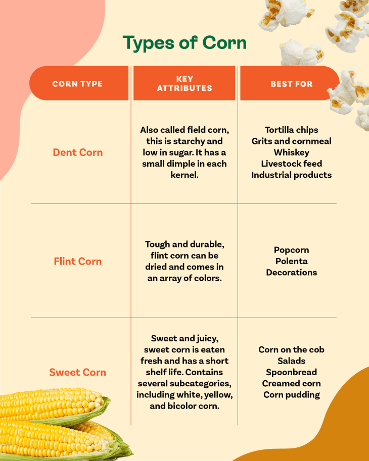 Types of Corn A Guide to the 3 Main Kinds The Kitchn