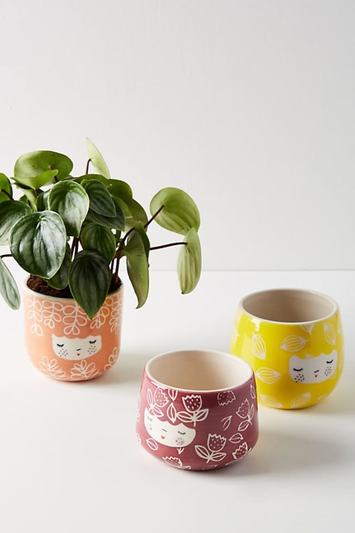 Anthropologie Home Sale May 2019 The Kitchn