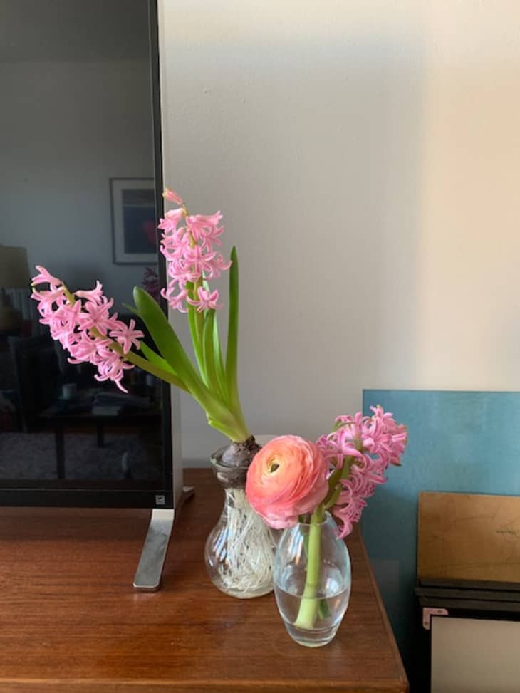 Trader Joes Flower Vase Herb Hack The Kitchn