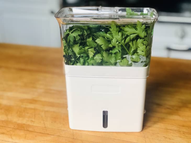Best Herb Keeper Cole & Mason Herb Keeper Review Kitchn