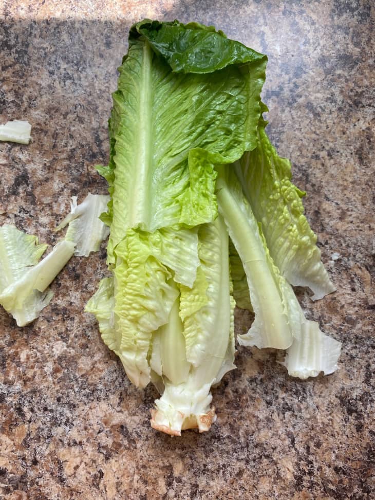 I Tried That SemiViolent Lettuce Prep Hack from TikTok and It Actually