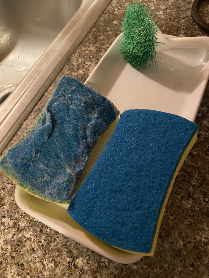 Full Circle Home Refresh Sponge Review The Kitchn