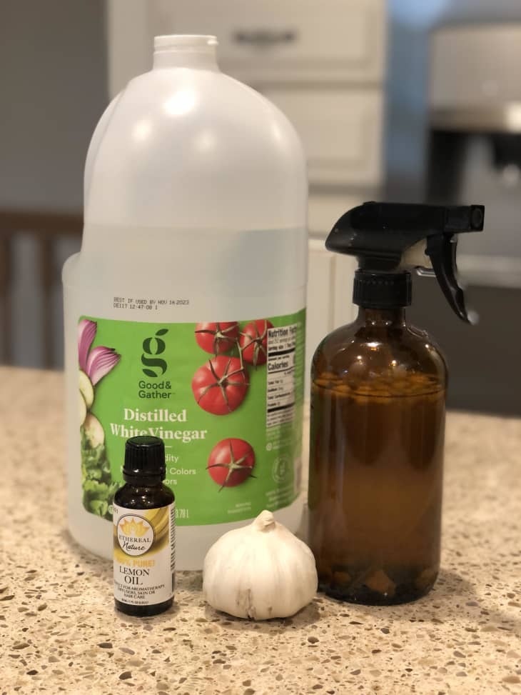 Use Garlic in a DIY AllPurpose Cleaning Solution The Kitchn