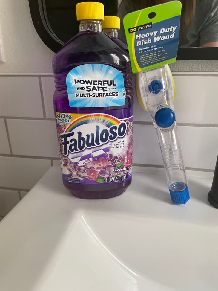 TikTok Dollar Store Bathroom Cleaning Hack The Kitchn